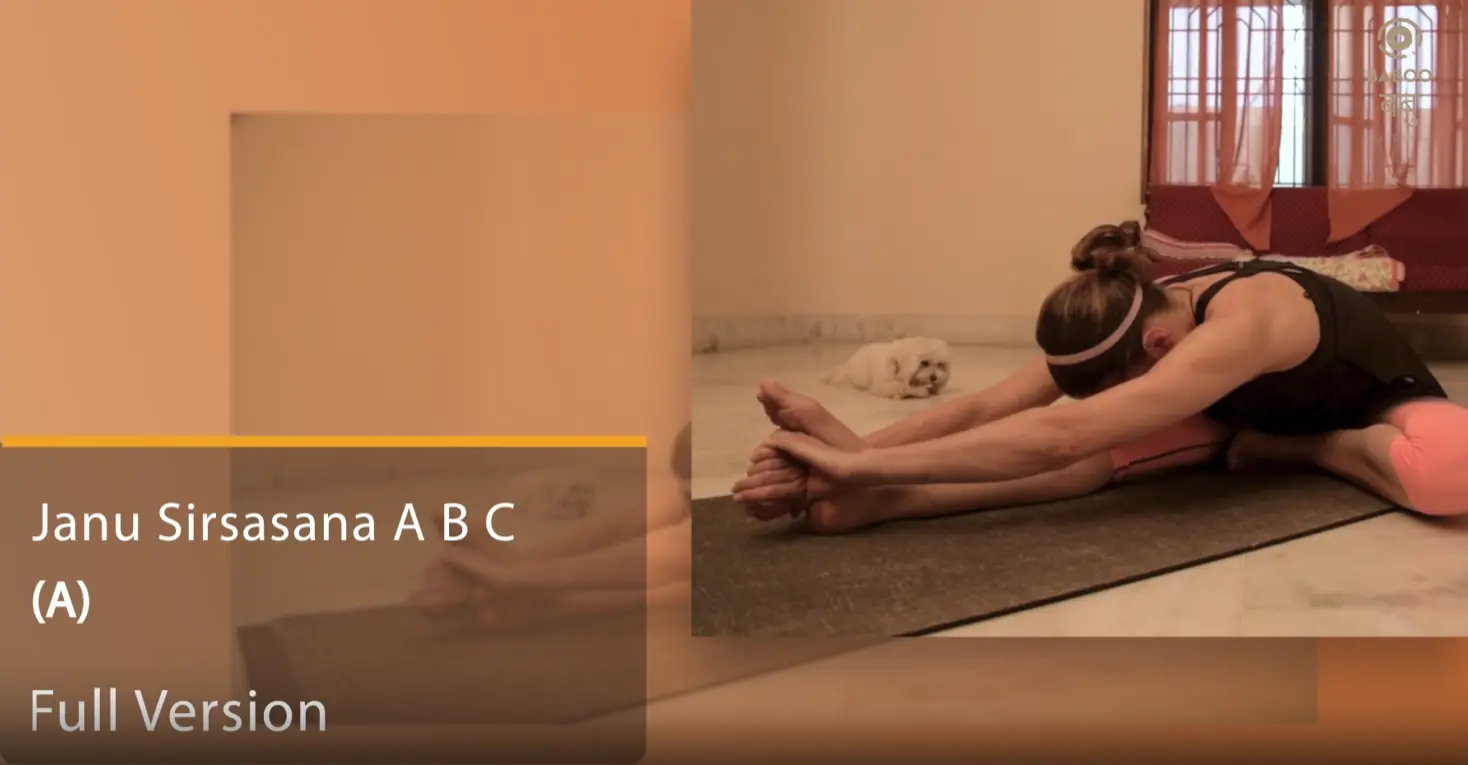 Salamba Sarvangasana