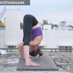 Prasarita Padottanasana