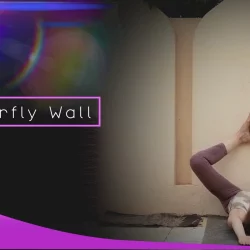 Butterfly into the wall