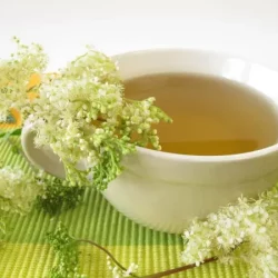 Meadowsweet