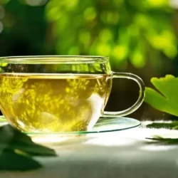 Ginko biloba