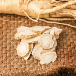 Ginseng