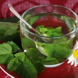 Lemon balm