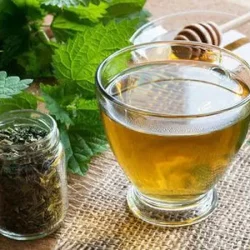 Nettle