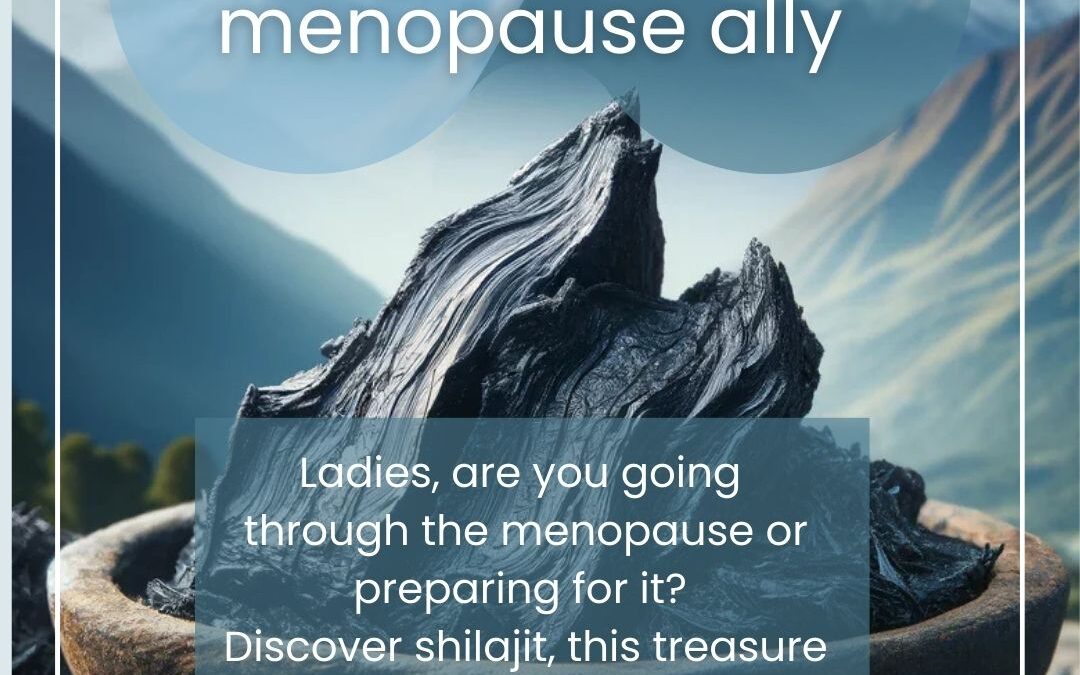 Shilajit: your natural menopause ally